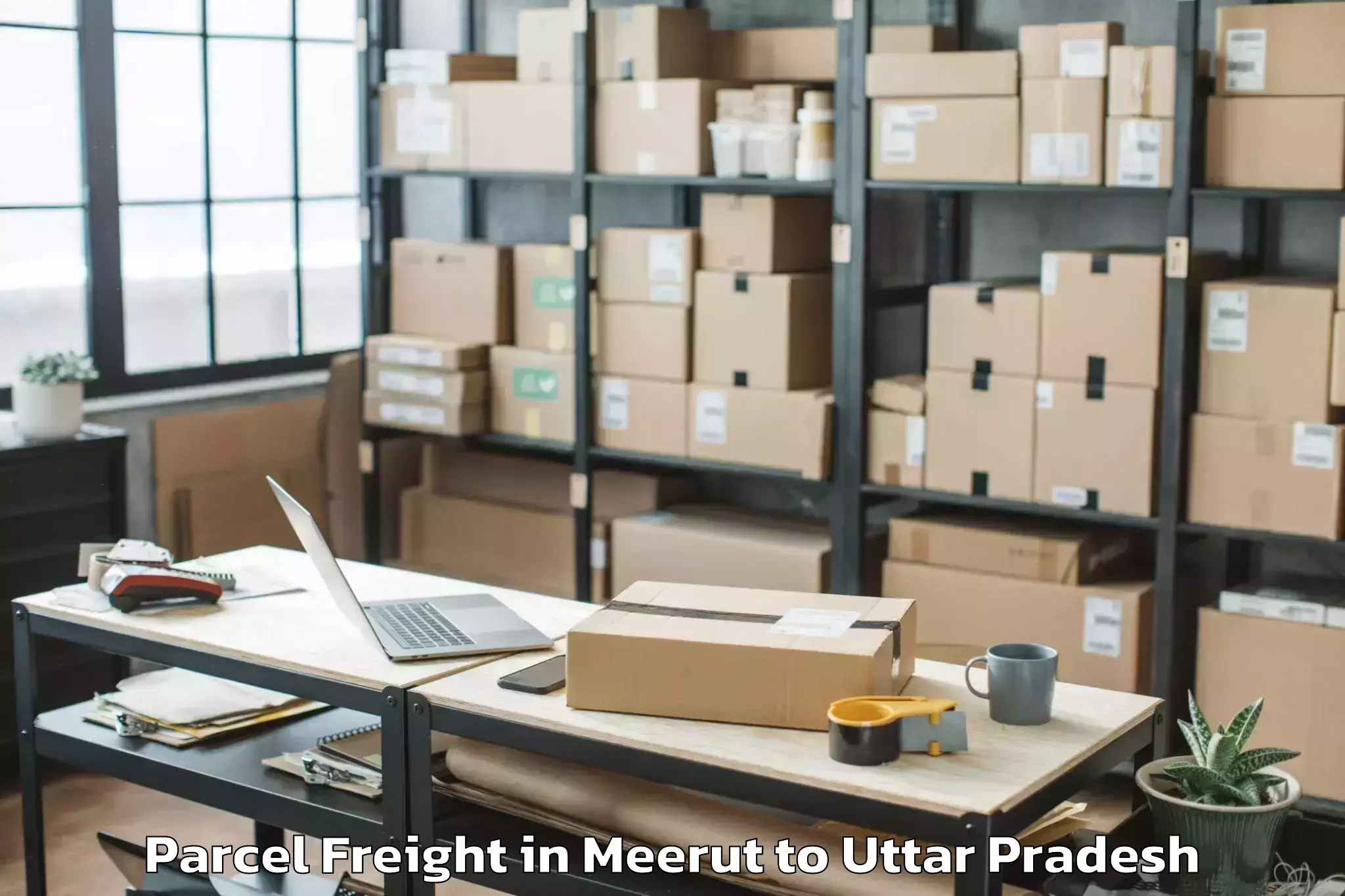 Book Meerut to Jhusi Parcel Freight Online